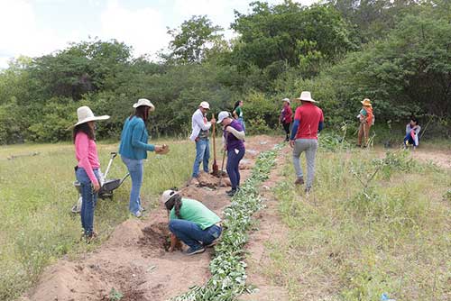 Projeto de restauração da Caatinga avança nos estados de Pernambuco e Rio Grande do Norte