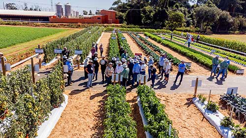 Biotrop leva inovação biológica à 30ª Hortitec e reforça compromisso com a sustentabilidade na horticultura