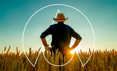 Entrega de fertilizantes ao agro cresceu no primeiro bimestre