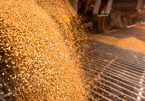  Cargill investe R$ 1,7 bilhão no Brasil e reafirma seu compromisso com o País