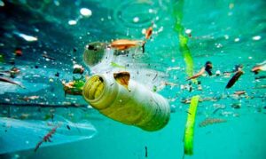 Brasil lança iniciativa inédita sobre oceanos, mas ignora plásticos e mantém aposta em petróleo na Conferência da ONU sobre os Oceanos