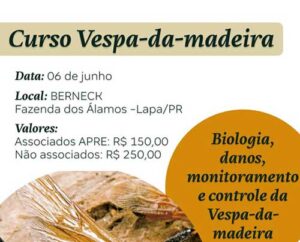 Vespa-da-madeira ameaça florestas de pinus e movimenta ação conjunta entre pesquisadores e produtores