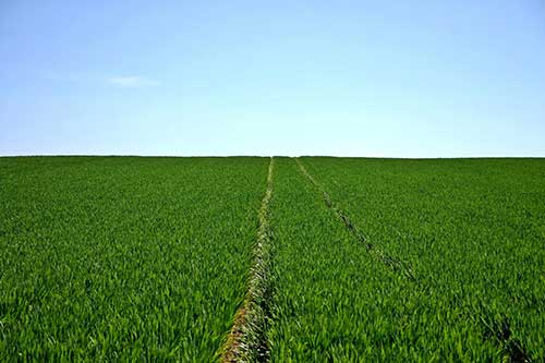 Agricultura do futuro: nova tecnologia amplia a produtividade com menor impacto ambiental