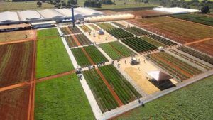 Open Field Day 2025 começa na próxima quarta-feira (25/06) e destaca lançamentos e tecnologias para horticultura