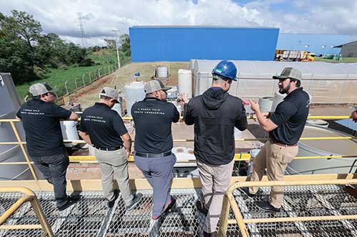 Agrocete conquista certificação de uso de energia 100% renovável e fortalece compromisso com a sustentabilidade
