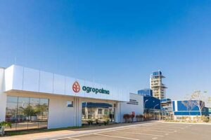 Bioenergia é a aposta da Agropalma para diminuir em 50% suas emissões operacionais até 2030
