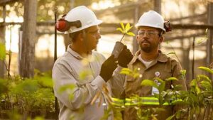 Com mais de R$ 8,5 milhões investidos, Appian e Atlantic Nickel já revegetam o equivalente a 383 campos de futebol da Mata Atlântica no Sul da Bahia