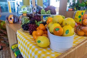 Com 60 anos de história no mundo, Ascenza Brasil faz sua estreia na 30ª Hortitec