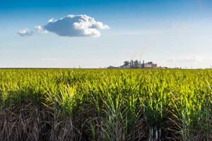 Atvos lidera debate sobre o futuro da bioenergia no ‘Energy Summit 2025’