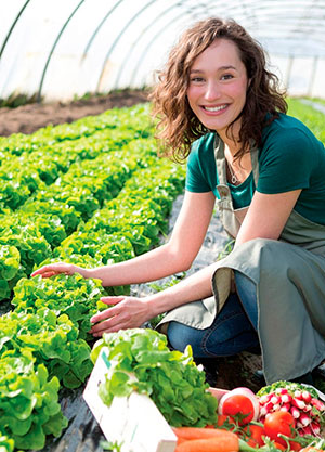 Aditivos para plásticos de alta performance impulsionam o sucesso do cultivo protegido