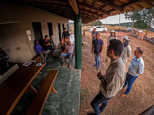 Pequenos e médios produtores rurais também podem lucrar com créditos de carbono