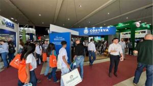 Corteva Agriscience lança na 30ª Hortitec solução para manejo do míldio em uva