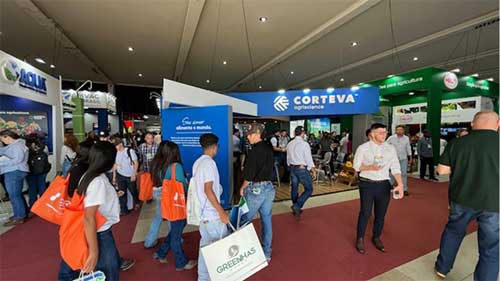  Corteva Agriscience lança na 30ª Hortitec solução para manejo do míldio em uva