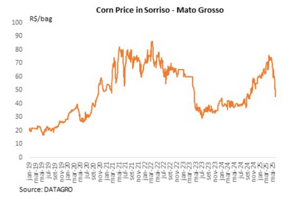 DATAGRO: Indústria de etanol de milho deve registrar melhores margens de produção em 25/26