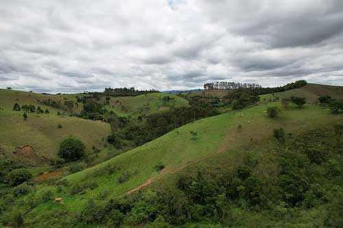  Projeto alia conservação ambiental e produção rural sustentável com apoio do Consórcio Intermunicipal 3 Rios e recursos do Fecop