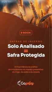 Doenças invisíveis no solo: como a Biologia Molecular está transformando a produtividade na safra de inverno