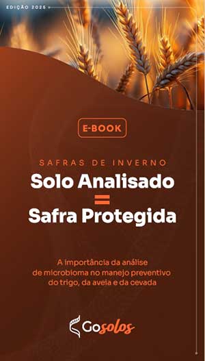 Doenças invisíveis no solo: como a Biologia Molecular está transformando a produtividade na safra de inverno