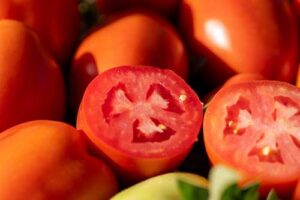 HM.CLAUSE lança o tomate Stony e mais três cultivares na Hortitec 2025, com foco em sanidade e alta produtividade