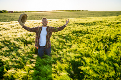 Supersafra sob pressão: como o agro pode reduzir custos e manter a produtividade com tecnologia nacional