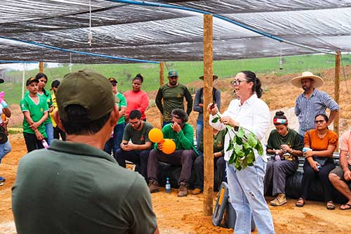 Café amazônico conquista espaço no cenário nacional com produção sustentável e de qualidade em Apuí