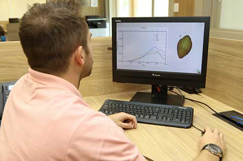 Empresa graduada na Incamp desenvolve método capaz de analisar 100 mil sementes por hora usando inteligência artificial