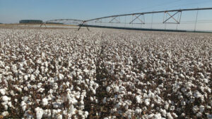 Tecnologia na irrigação: São Paulo se destaca com uso de pivôs centrais na agricultura