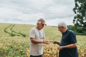 Calor e seca acima da média de junho exigem atenção redobrada de produtores rurais em todo Brasil