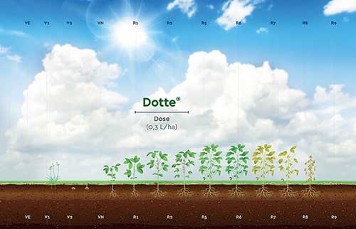 Ourofino Agrociência reforça aposta no mercado de fungicidas com o lançamento do Dotte® 