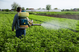 Pesquisa da UFSCar testa herbicida sustentável, de fonte renovável