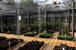 RHI Magnesita lança e-book ESG América Latina