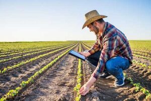 Tecnologia ajuda produtor a economizar com decisões mais assertivas