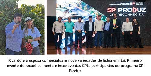 Com SP Produz, lichia movimenta e desenvolve economia do Alto Vale do Paranapanema