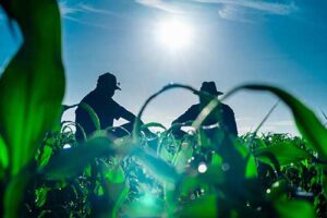 Semana do Meio Ambiente: Sistema Campo Limpo mostra como o agro brasileiro faz a diferença para o planeta