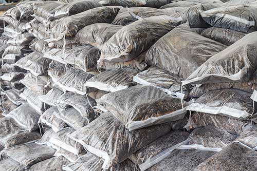 Conflito no Oriente Médio acende alerta para quem ainda precisa comprar fertilizantes nitrogenados