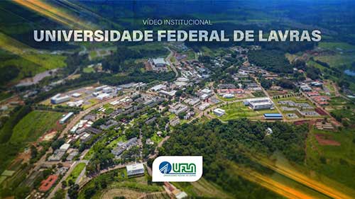 Cascas de açaí e castanha viram biochar: pesquisa da UFLA transforma resíduos amazônicos em energia limpa