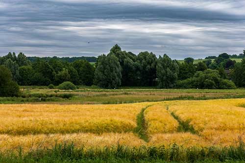  Agricultura regenerativa promove equilíbrio entre produção e preservação ambiental 