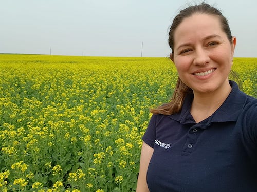 Cultivo de canola cresce no Sul e insumos biológicos impulsionam produtividade