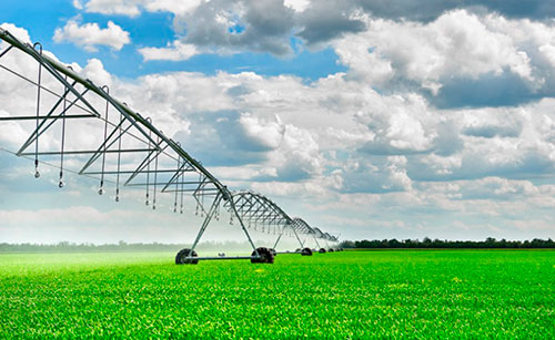 Paraná tem investido para ampliar o número de projetos de irrigação para produtores rurais em meio a seca e perdas de safra