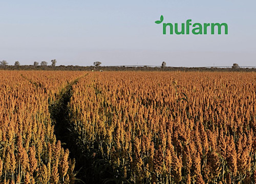 Nufarm volta a operar no Brasil como uma empresa de inovação no agro