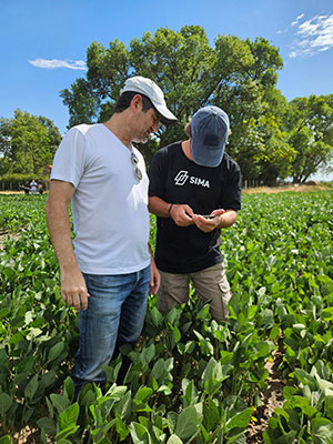 Monitoramento inteligente e geração de ganhos de produtividade em fazendas