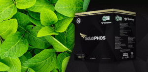 Insumos biológicos da Simbiose dominam manejo campeão do Desafio da Soja 2025