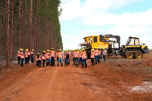 Grupo Timber apresenta Plantmax X3 na Reunião Técnica do setor florestal
