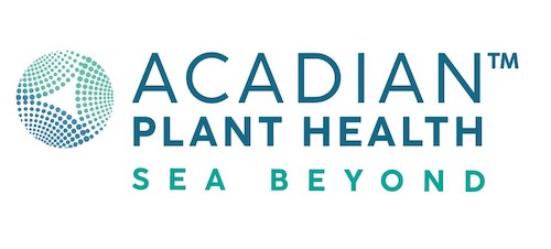 Acadian participa do Congresso Andav 2025 com foco em inovação, produtividade e sustentabilidade