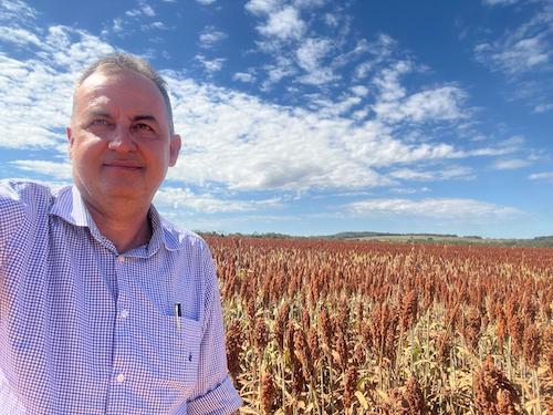 Produtor colhe resultados acima da média no Cerrado com rotação de culturas estratégica