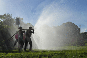 Agropalma e Climatempo se unem para reforçar combate a incêndios no Pará