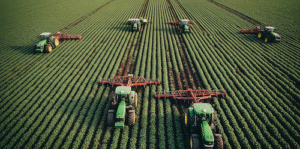 Bradesco prevê mais de R$ 50 bi para o Plano Safra 25/26