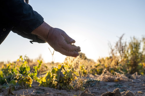 ReSolu, programa da Cargill, chega a 85 mil hectares cadastrados em cinco estados brasileiros
