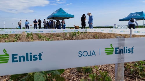  Inovações em biotecnologia e soluções biológicas para performance de plantas são apresentadas pela Corteva Agriscience no X Congresso Brasileiro de Soja