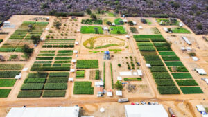 Abertas as inscrições de caravanas para o Semiárido Show 2025