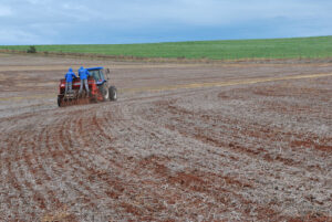 Atraso na semeadura do trigo no RS